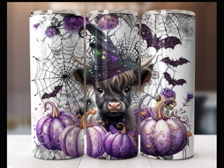 Stainless steel tumblers | Tijay Crafts