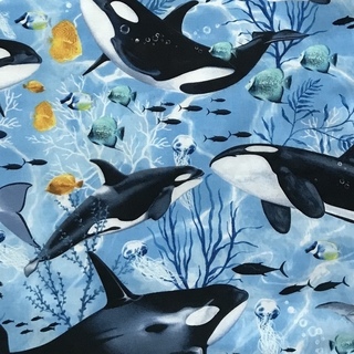 Click for larger view