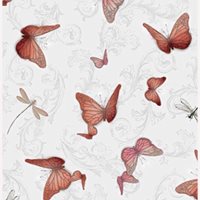 Click for larger view