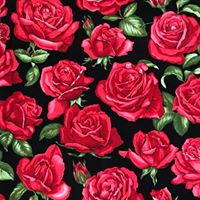 Click for larger view